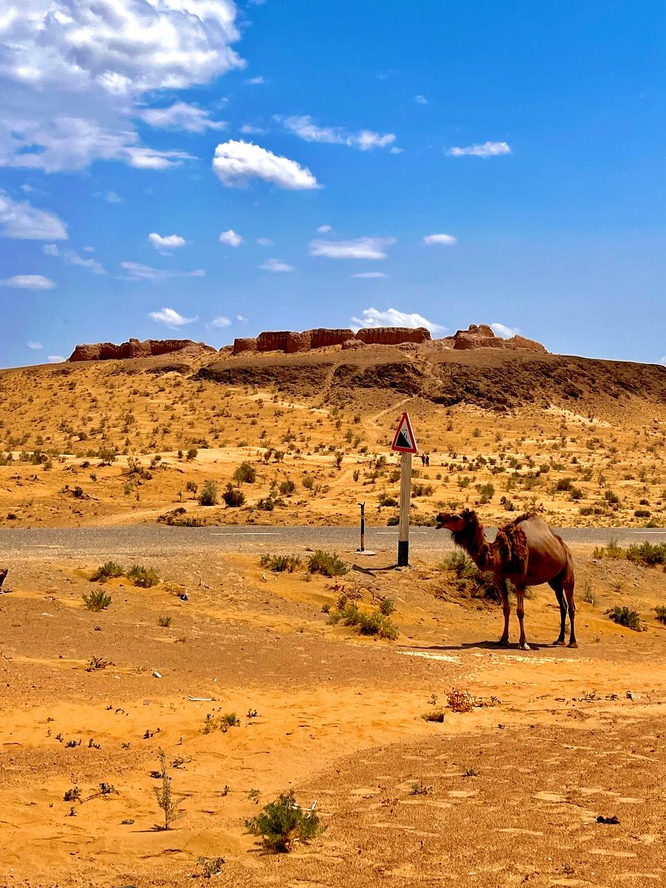 Khiva city walls and old town